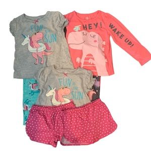 Pajama Bundle (Dinosaurs-5T)